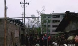 四川屏山爆料事件最新,真相与争议交织的舆论漩涡